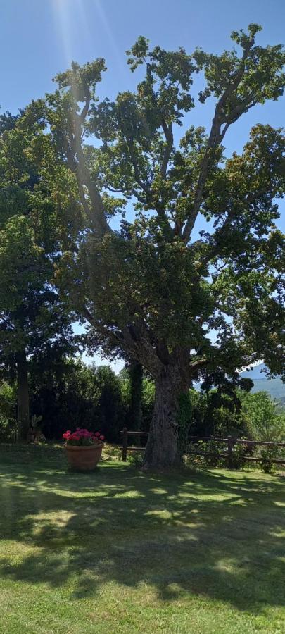 Poggio Al Sole Hotel Fiesole Bagian luar foto
